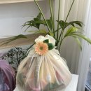 파주청과(과일) 이미지