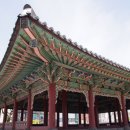 제주 관덕정 티스토리