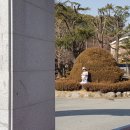 세심청 Daum카페