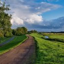 세한대학교 이미지