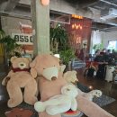 955 | 수원 애견동반카페 추천 나혜석거리<955카페>곰의라임오렌지나무 맛집 방문후기