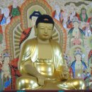 심광사 목조석가모니불좌상 이미지