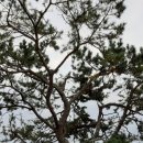 창원 제포진성 이미지