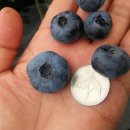 장산농장 이미지