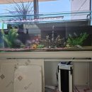 전주용덕초등학교 이미지