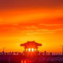 경기 화성 궁평항 Daum카페