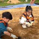 초촌초등학교 이미지