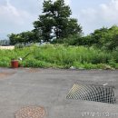 장남면사무소 이미지