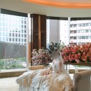 탑선축사 | W26. 결혼 준비하면서 한 고민들 20문 20답_(아이폰 스냅, 식순, 플래너, 웨딩 슈즈, 식전 드레스...