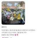 소월플라워 이미지