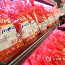 D-마트 이미지