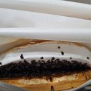 와플대학김포고촌캠퍼스 네이버블로그