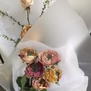 보위플라워즈 이미지
