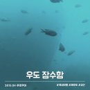 노란잠수함 | 제주 우도 잠수함 체험 추천, 비 오고 흐린 날 솔직 후기