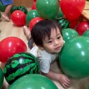 ⭐별솔반⭐수박 탱탱볼🍉풍선 놀이~🎈 이미지