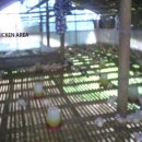 태일농장 이미지