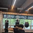 BEST복싱다이어트