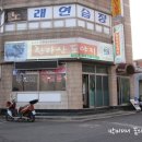 한라산도야지 이미지