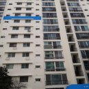 남천동 삼익비치아파트 216동 옆 네이버블로그