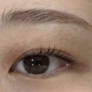 벨르뮤 강남역점 눈썹 속눈썹펌 연장 이미지