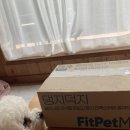 트릿츄잇 네이버블로그