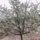 만연농장 이미지