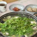 평화복어 이미지
