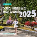 [3월/다낭] 3박5일 부녀여행 ③｜오행산 동굴 일일투어 내돈내산