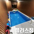 핏 플러스짐 | [용인] 용인 스윔핏 프라이빗 수영 &#39;플러스짐&#39; 1:1레슨 후기