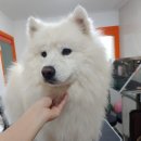 멍클스튜디오 이미지