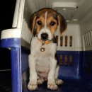 무역로-2 이미지