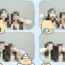 홍도지하보도 | [대전 여행 🥖] 기차에서 작성하는 대전 후기 (+ 성심당 평일 오후 1시 웨이팅 시간)