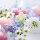 설레이다 이미지