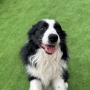 불리빌로우코리아센터 이미지