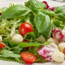 케이에스팜(주) 이미지