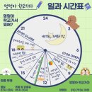 계명유치원 | [대구 멍멍아학교가자] 대구 애견유치원은 멍학으로 대구 대명동 멍멍아학교가자