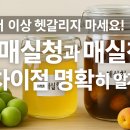 푸른청과 | 더 이상 헷갈리지 마세요! 청매실청과 매실청 차이점 명확히 알기