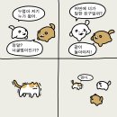 순진한 강아지 이미지