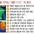 송파 점핑다이어트