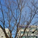 옥동근린공원 이미지