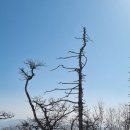 최북미술관 이미지