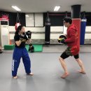 체육관 삼거리 이미지