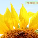 만복공인중개사사무소 이미지