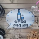 모여라포차 이미지