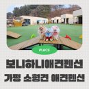 즐거운애견미용실 | 10kg미만 소형견펜션 가평 보니하니 애견펜션