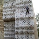 성남종합운동장 인공암벽장 이미지