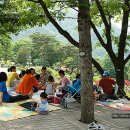 대아수목원&대아호 이미지