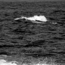 금산다락원 청산아트홀 이미지