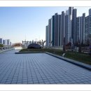 희망의 나무 休 이미지