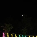 봉곡동317 | 취준생의 요즘 근황 퇴사한지 벌써 2개월